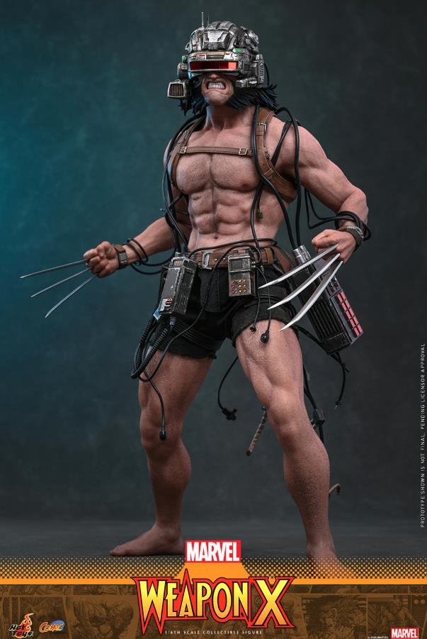 Weapon X par Hot Toys - CMS034 - figurine 1/6 Marvel Comics de 31 cm