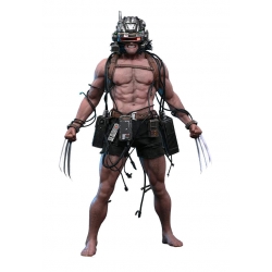 Weapon X par Hot Toys - CMS034 - figurine 1/6 Marvel Comics de 31 cm