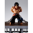 Portgas D Ace (Marineford) SH Figuarts by Bandai Tamashii Nations - One Piece 16 cm action figure
