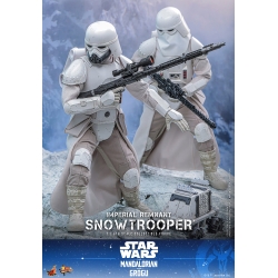 Imperial Remnant Snowtrooper par Hot Toys - MMS838 - figurine 1/6 Star Wars: The Mandalorian and Grogu de 30 cm