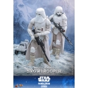 Imperial Remnant Snowtrooper by Hot Toys - MMS838 - Star Wars: The Mandalorian and Grogu 1/6 scale action figure