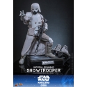 Imperial Remnant Snowtrooper by Hot Toys - MMS838 - Star Wars: The Mandalorian and Grogu 1/6 scale action figure