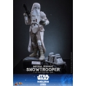 Imperial Remnant Snowtrooper by Hot Toys - MMS838 - Star Wars: The Mandalorian and Grogu 1/6 scale action figure