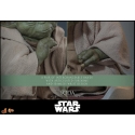 Yoda van Hot Toys - MMS878 - Star Wars Episode III: Revenge of the Sith 1/6 schaal actiefiguur