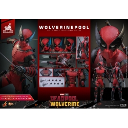 Wolverinepool Exclusive par Hot Toys - MMS857 - figurine 1/6 Deadpool and Wolverine de 31 cm