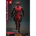 Wolverinepool van Hot Toys Exclusive version - MMS857 - Deadpool and Wolverine 1/6 schaal actiefiguur