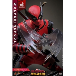 Wolverinepool von Hot Toys Exclusive version - MMS857 - Deadpool and Wolverine 1/6 Maßstab Actionfigur