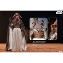 Tessek Sixth Scale van Sideshow Collectibles - Star Wars : Return Of The Jedi 1/6 schaal actiefiguur