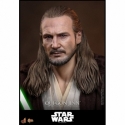 Qui-Gon Jinn Collector by Hot Toys - MMS880 - Star Wars Episode I : The Phantom Menace 1/6 scale action figure