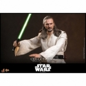 Qui-Gon Jinn Collector by Hot Toys - MMS880 - Star Wars Episode I : The Phantom Menace 1/6 scale action figure