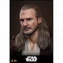 Qui-Gon Jinn Collector by Hot Toys - MMS880 - Star Wars Episode I : The Phantom Menace 1/6 scale action figure