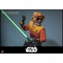 Ezra Bridger di Hot Toys - TMS172 - action figure Star Wars Rebels in scala 1/6
