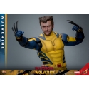 Wolverine Hot Toys MMS754 Movie Masterpiece deluxe figurine 1/6 (Deadpool and Wolverine)