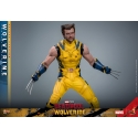 Wolverine Hot Toys MMS754 Movie Masterpiece deluxe figurine 1/6 (Deadpool and Wolverine)