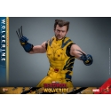 Wolverine Hot Toys MMS754 Movie Masterpiece deluxe figurine 1/6 (Deadpool and Wolverine)