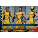 Wolverine Hot Toys MMS754 Movie Masterpiece deluxe figurine 1/6 (Deadpool and Wolverine)