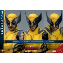 Wolverine Hot Toys MMS754 Movie Masterpiece deluxe figurine 1/6 (Deadpool and Wolverine)