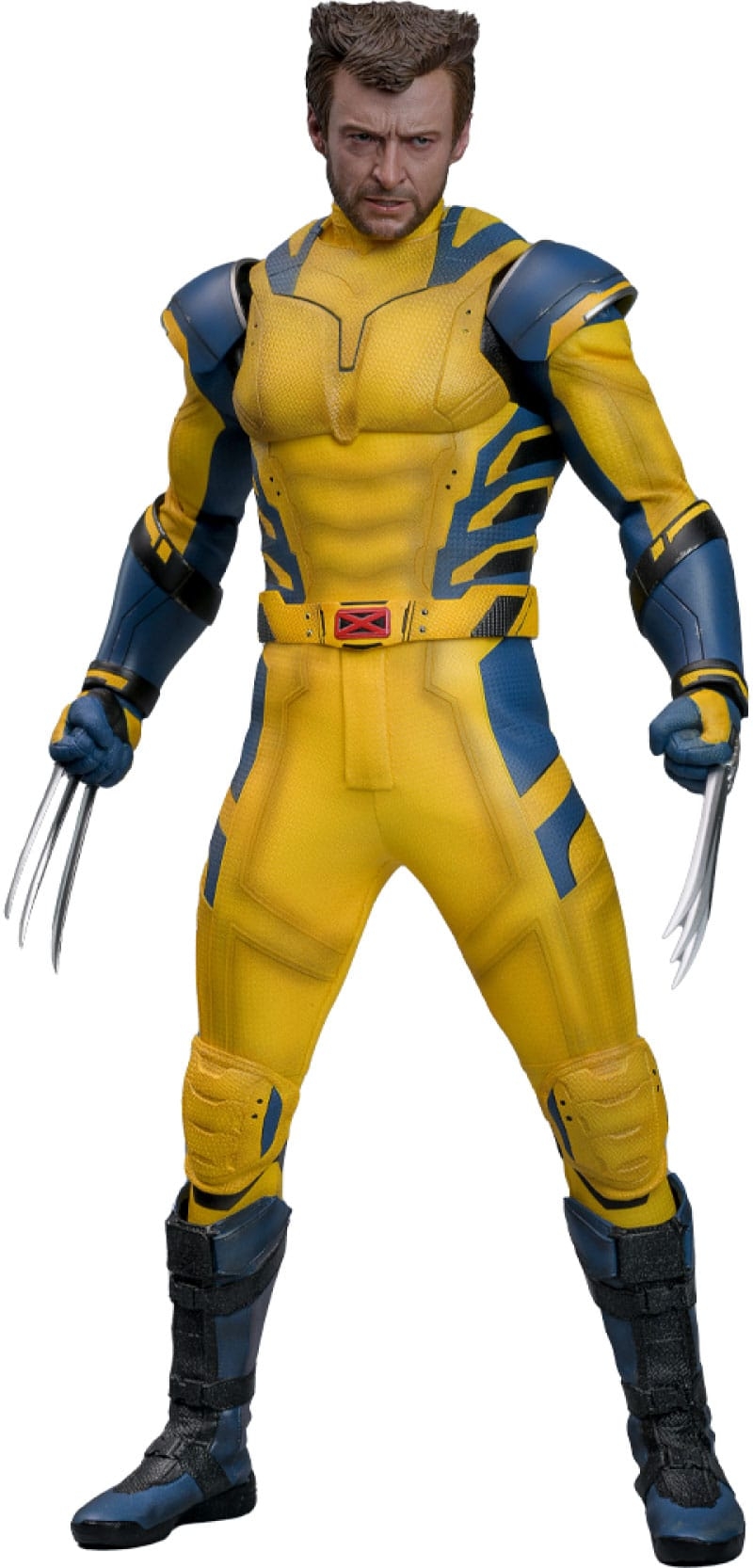 Wolverine Hot Toys MMS754 Movie Masterpiece deluxe figurine 1/6 (Deadpool and Wolverine)