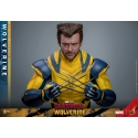 Wolverine Hot Toys MMS754 Movie Masterpiece deluxe figurine 1/6 (Deadpool and Wolverine)