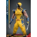 Wolverine Hot Toys MMS754 Movie Masterpiece deluxe figurine 1/6 (Deadpool and Wolverine)