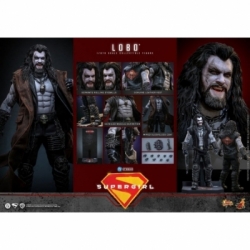 Lobo di Hot Toys - MMS890 - action figure Supergirl in scala 1/6
