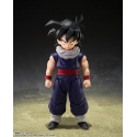 Son Gohan (Z-Fighters) SH Figuarts von Bandai Tamashii Nations Limited Edition version - Dragon Ball Z 11 cm Actionfigur