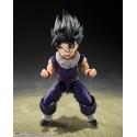 Son Gohan (Z-Fighters) SH Figuarts de Bandai Tamashii Nations Limited Edition version - figura de acción Dragon Ball Z de 11 cm