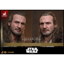 Qui-Gon Jinn Artisan by Hot Toys - MMS881AE - Star Wars Episode 1 1/6 scale action figure