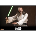 Qui-Gon Jinn Artisan by Hot Toys - MMS881AE - Star Wars Episode 1 1/6 scale action figure