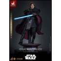 Anakin Skywalker (Concept Art) de Hot Toys Artisan version - MMS882AE - figura de acción Star Wars a escala 1/6