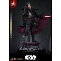 Anakin Skywalker (Concept Art) von Hot Toys Artisan version - MMS882AE - Star Wars 1/6 Maßstab Actionfigur