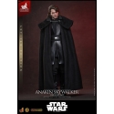 Anakin Skywalker (Concept Art) de Hot Toys Artisan version - MMS882AE - figura de acción Star Wars a escala 1/6