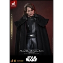 Anakin Skywalker (Concept Art) di Hot Toys Artisan version - MMS882AE - action figure Star Wars in scala 1/6