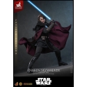 Anakin Skywalker (Concept Art) von Hot Toys Artisan version - MMS882AE - Star Wars 1/6 Maßstab Actionfigur