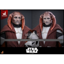 Saesee Tiin (Clone Armor) par Hot Toys - TMS168 - figurine 1/6 Star Wars : The Clone Wars de 32 cm