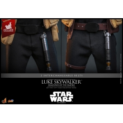 Luke Skywalker par Hot Toys - CMS035 - figurine 1/6 Star Wars : Shadows Of The Empire de 28 cm