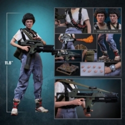 Ellen Ripley Collector par Hot Toys - MMS894 - figurine 1/6 Aliens de 30 cm