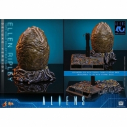 Ellen Ripley Deluxe by Hot Toys - MMS895 - Aliens 1/6 scale action figure
