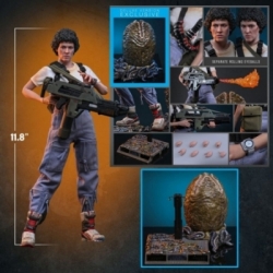 Ellen Ripley Deluxe by Hot Toys - MMS895 - Aliens 1/6 scale action figure