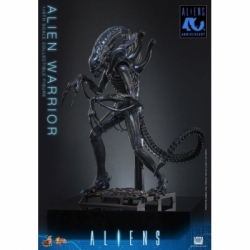 Alien Warrior van Hot Toys Collector version - MMS898 - Aliens 1/6 schaal actiefiguur