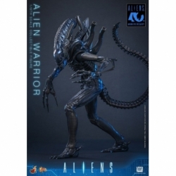 Alien Warrior von Hot Toys Collector version - MMS898 - Aliens 1/6 Maßstab Actionfigur