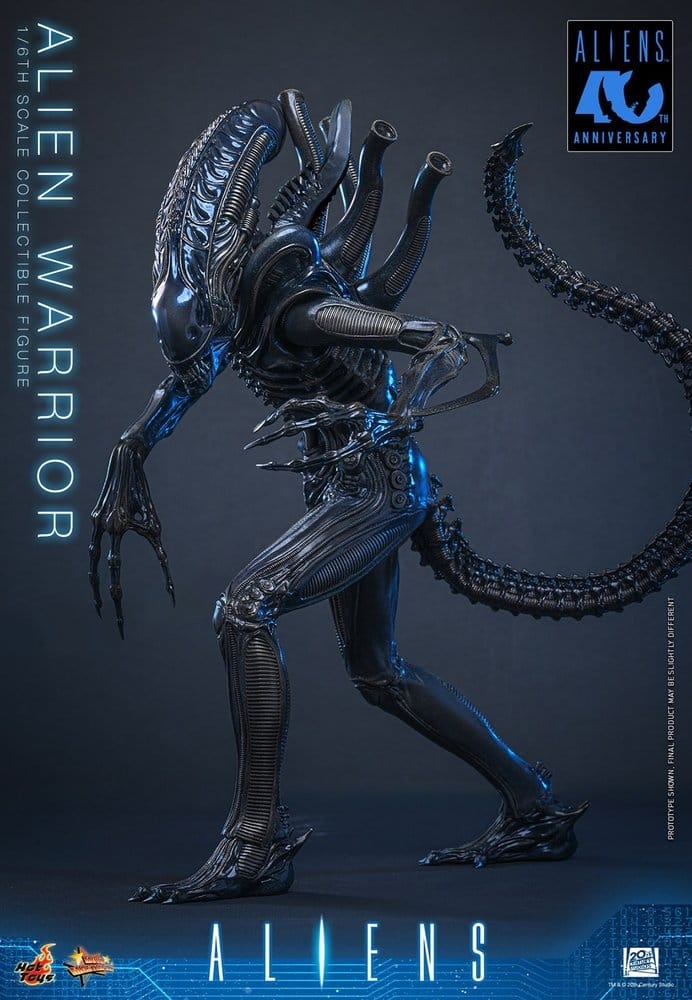 Alien Warrior Collector by Hot Toys - MMS898 - Aliens 1/6 scale action figure