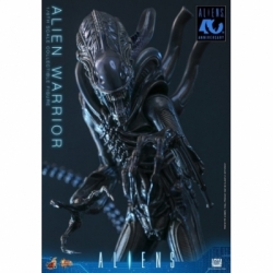 Alien Warrior di Hot Toys Collector version - MMS898 - action figure Aliens in scala 1/6