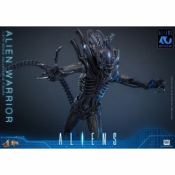 Alien Warrior Collector by Hot Toys - MMS898 - Aliens 1/6 scale action figure