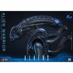 Alien Warrior van Hot Toys Collector version - MMS898 - Aliens 1/6 schaal actiefiguur