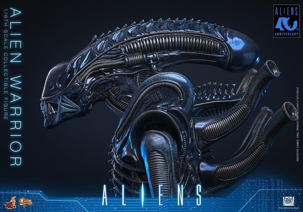 Alien Warrior Collector by Hot Toys - MMS898 - Aliens 1/6 scale action figure
