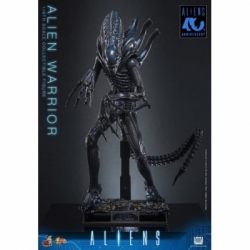 Alien Warrior di Hot Toys Collector version - MMS898 - action figure Aliens in scala 1/6