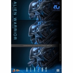 Alien Warrior Collector by Hot Toys - MMS898 - Aliens 1/6 scale action figure