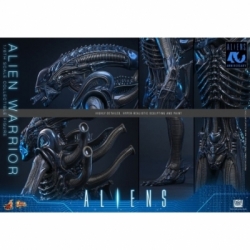Alien Warrior Collector by Hot Toys - MMS898 - Aliens 1/6 scale action figure