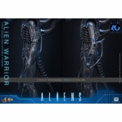 Alien Warrior Collector by Hot Toys - MMS898 - Aliens 1/6 scale action figure